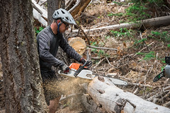 South Chilcotin Life and Lick Creek Trail Clearing May Long week-end May 21 to 24 2021