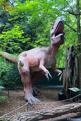 Dinosaur Discovery and Woodland Park Zoo