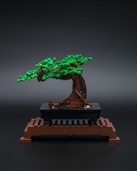 2021 Jun Lego Creator Bonsai Tree 10281