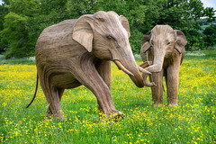 "Elephant Family", Sudeley Castle - 4 Jun 2021