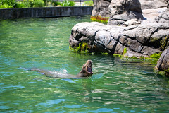 Prospect Park Zoo 06-05-21