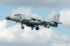 Harriers & Sea Harriers