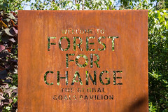 Forest for Change - 05 June 2021