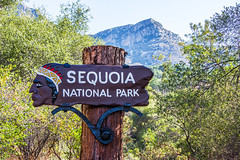 2021 Sequoia National Park