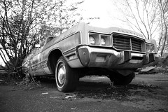 Nr. 105 - the abandoned US car