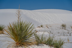 White Sands National Park - 2021