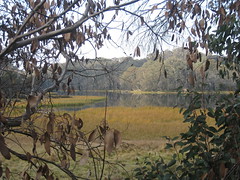 Lake Catani