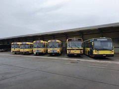 STIB-Bus-74