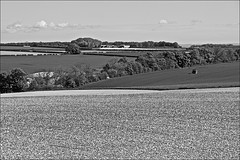 Yorkshire Wolds Countryside in Monochrome 19 May 2021
