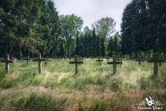 Cemetery of the Insane, Belgium