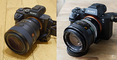 50mm f1.2 Sony GM VS Canon FD Aspherical