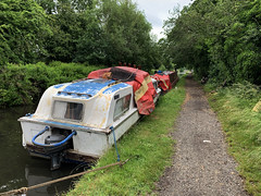 Stratford Canal (Shirley-Earlswood) 26/06/21