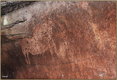 WHL-874 Arte rupestre mediterráneo en España