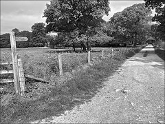East Yorkshire Countryside near Sancton in Monochrome