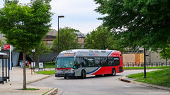 WMATA Metrobus 2014 NABI 42 BRT Hybrid #8019