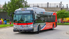 WMATA Metrobus 2019 New Flyer Xcelsior XD40 #4459