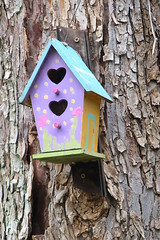 Birdhouses on the South County Trailway