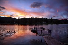 Harmon Lake Camping 2021
