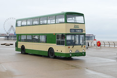 Blackpool bus 100