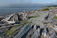 Whidbey Island, 19 June 2021