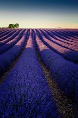 Provence und Südfankreich