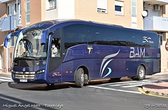 Bus Almería Madrid (BAM)