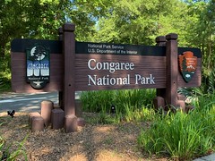Congaree National Park, SC