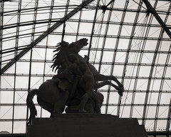 Musee du Louvre ~ Paris