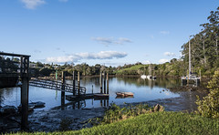 OUT AND ABOUT - KERIKERI INLET