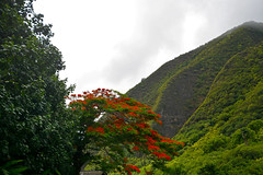 Iao Needle Maui, Hawaii July 2021