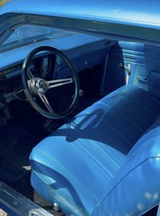 Auto Interiors