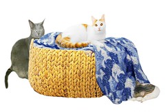 Blanket Basket Pets