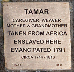 Honoring Tamar Witness Stone