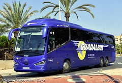 Guadalbus [The Bus Ontime]