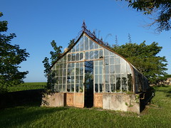 Serre / Greenhouse