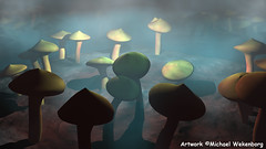 Mushrooms In A Fish Tank
