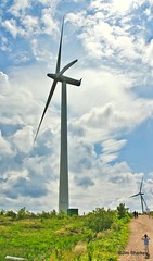 whitelee wind farm