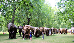 London: Elephants in the Park