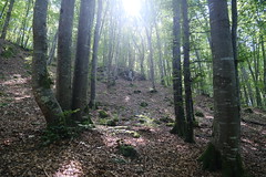 Hike to Montagne d'Âge, Montagne de la Mandallaz & Crêt de la Dame