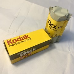 Kodak T-max 100 (BW)