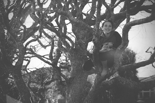 girl in the tree