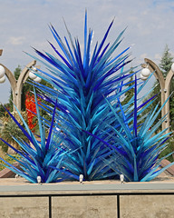 Chihuly Glass Exhibit