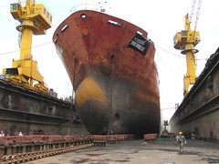 A selection of Bulk Carriers