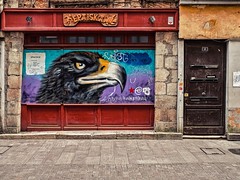 Street art in Bayonne