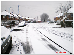 Snow - 2007 February