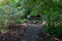UC Berlekey Botanical Garden