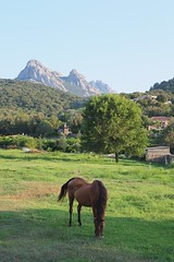 Sardinia '21