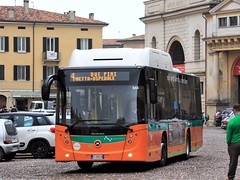 APAM Mantova (I) buses
