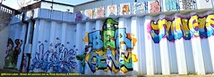 Street Art au Rosa Bonheur Ouest à Asnières-sur-Seine (Hauts-de-Seine