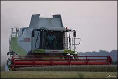 Essex - Harvesting Aug 2021